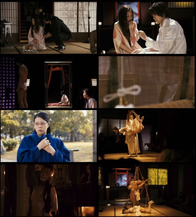 [18+] Flower and Snake Zero (2014) Erotic Movie 300MB 花と蛇: Zero Watch Online | Download